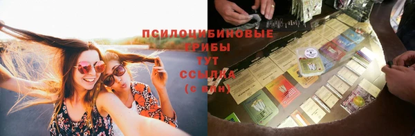 ALPHA PVP Куйбышев