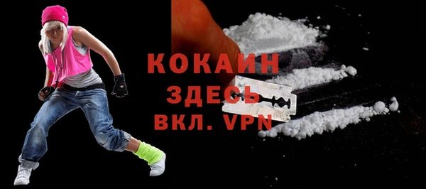 ALPHA PVP Куйбышев