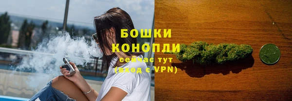 ALPHA PVP Куйбышев