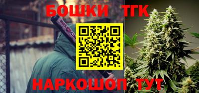 меф Гатчина