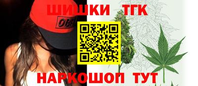 меф Гатчина