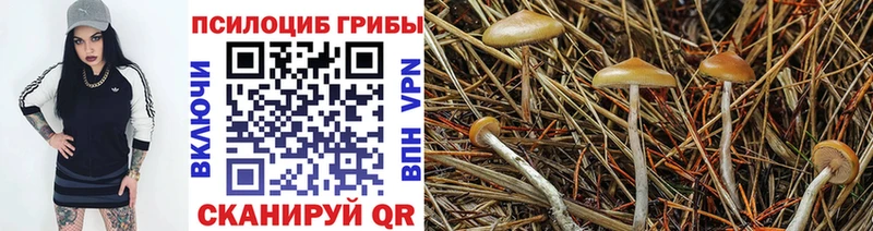 купить  сайты  Луга  МЕГА зеркало  Псилоцибиновые грибы GOLDEN TEACHER 