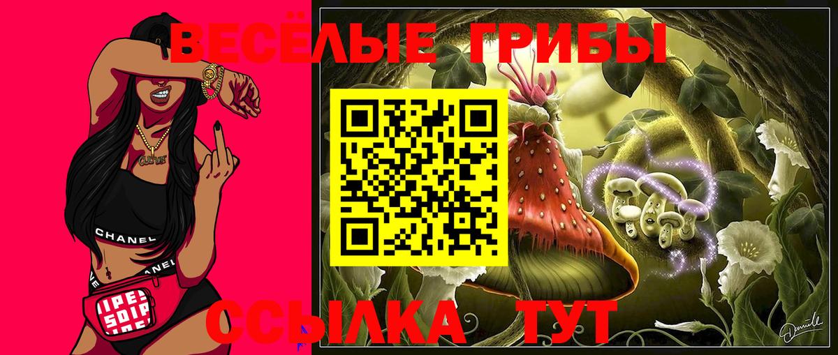 Псилоцибиновые грибы MAGIC MUSHROOMS Луга