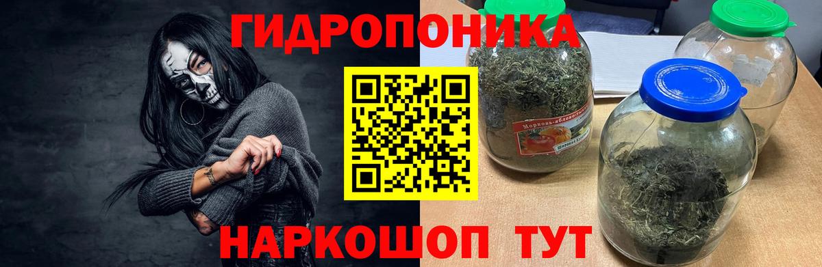 Марихуана сатива  Канабис планчик  Вход с VPN  Канабис план  Луга 